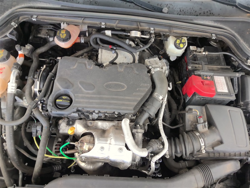 d489e4e0-b5de-46be-bc32-d92333e15dc8.jpg