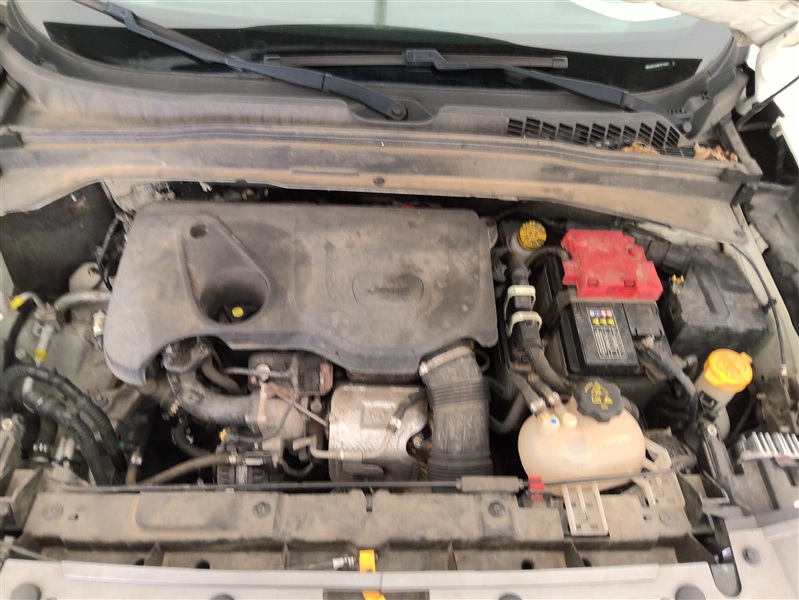 00ed46df-c405-467e-a7e3-961ec7ec5067.jpg