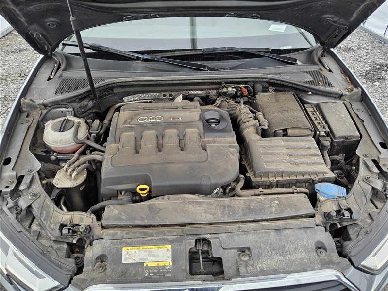 e3d2fb35-231b-454d-bfd7-b9933ce598cd.jpg