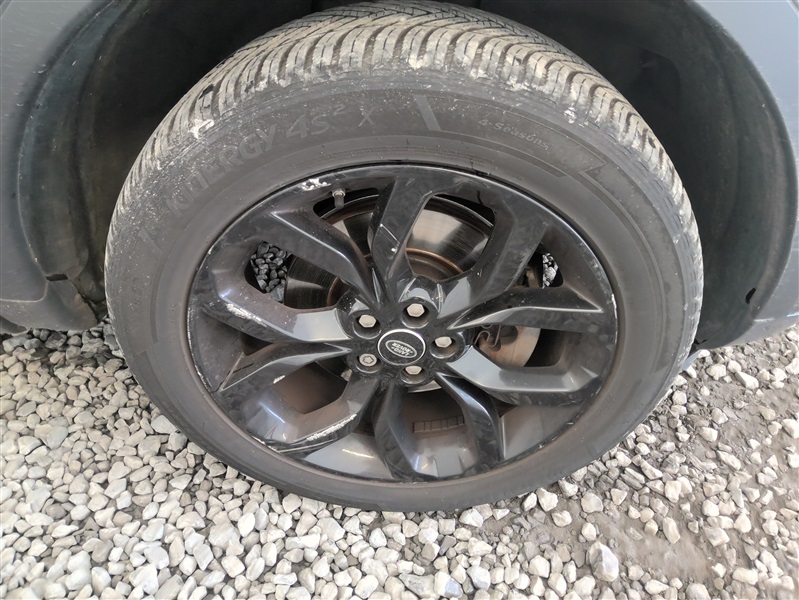 7c2583cc-2461-4ddb-af1c-c47af3589ad5.jpg