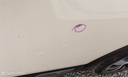 e8bc80b7-c52a-4ae1-a3af-9b640aaeb8a6.jpg