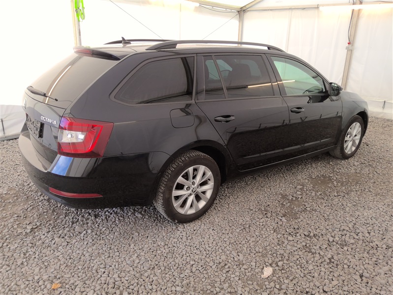 c7b1ce91-ffc6-4337-ae77-baefad28b1b6.jpg
