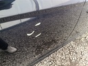 73e95612-5b1f-4d9d-9c3c-38216296855e.jpg