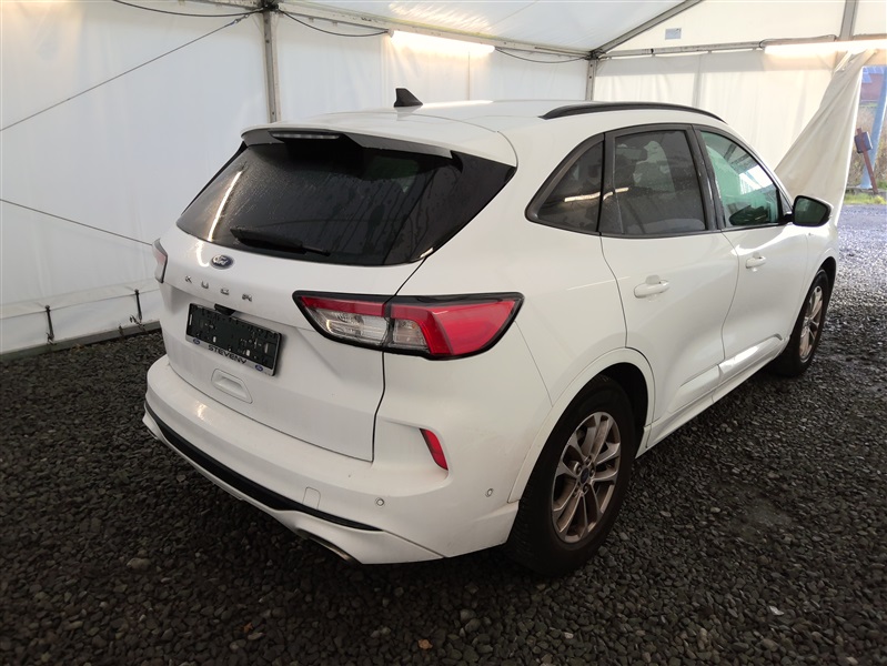4e3550ef-138e-4ed1-a3fe-ed1780e22ff3.jpg