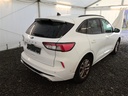 4e3550ef-138e-4ed1-a3fe-ed1780e22ff3.jpg