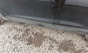 647cc6af-1bd2-42b9-a6b2-c6d885902a88.jpg