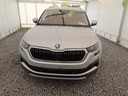 13c87ce3-9267-416a-83b0-ffe9db1a6e44.jpg