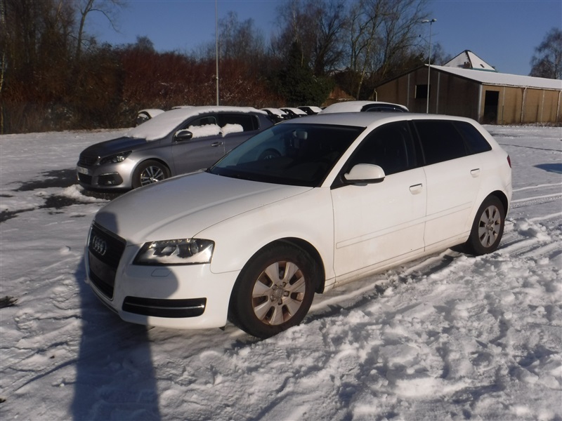 Audi A3 1.6 TDi Ambition Start/Stop DPF n°104
