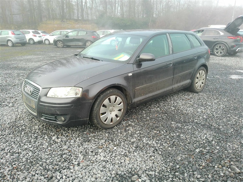 Audi A3 n°204