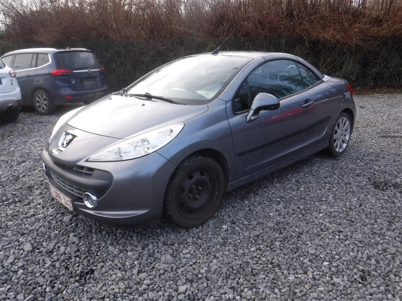 Peugeot 207 CC n°18