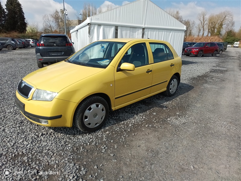 Skoda Fabia automatique n°256