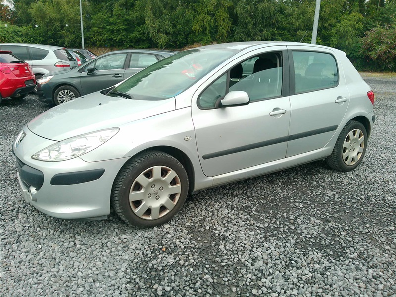 Peugeot 307 1.6 HDi XS EURO4 n°199