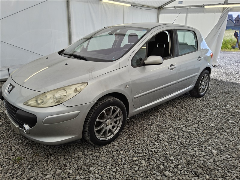 Peugeot 307 1.6 HDi Confort N176