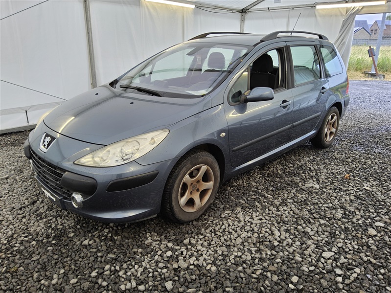 Peugeot 307 HDI BREAK n°269