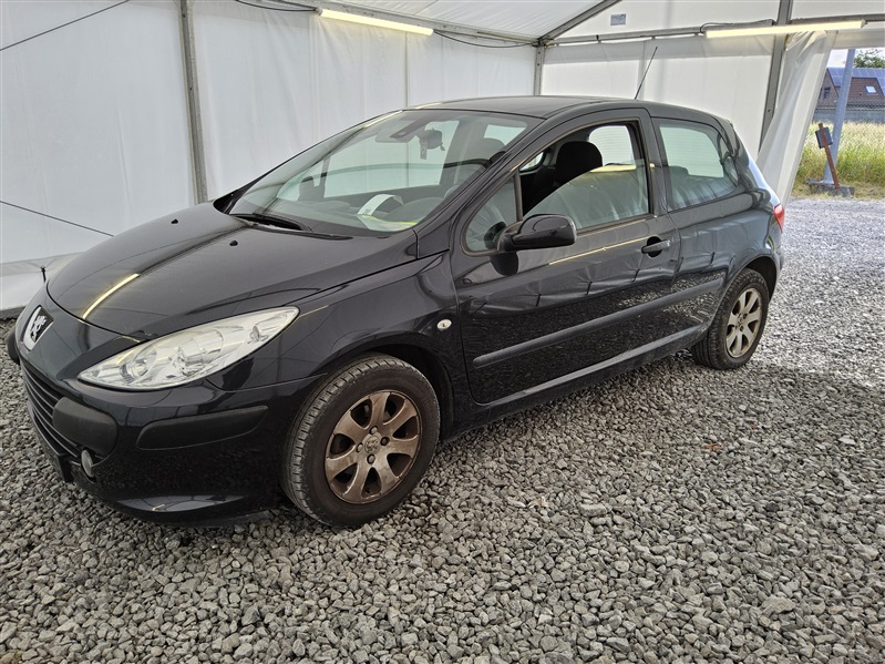 Peugeot 307 1.6 HDi n°253