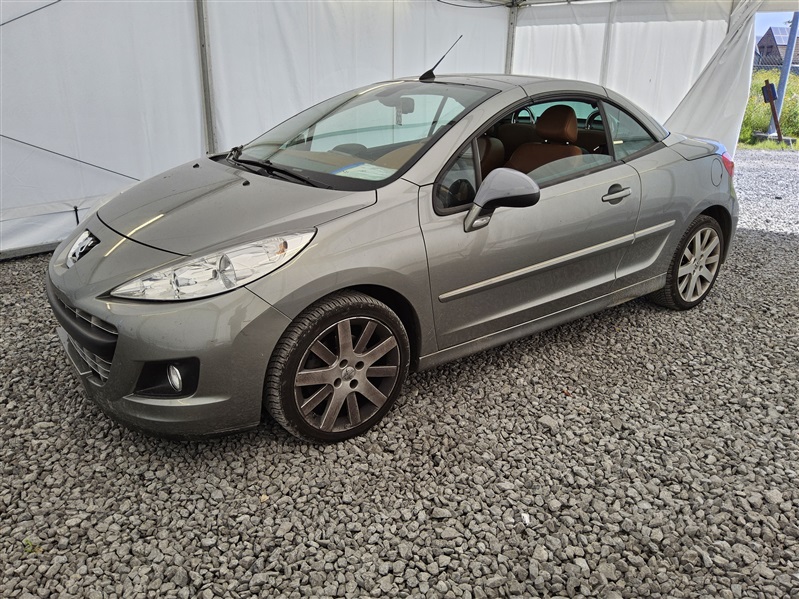 Peugeot 207 1.6i Pack n°65