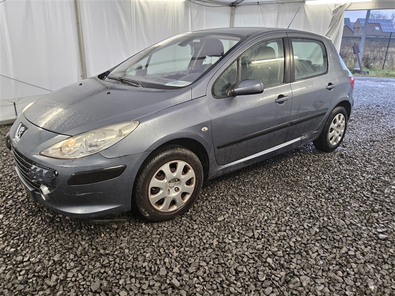 Peugeot 307 XS PACK 1.6 N°266