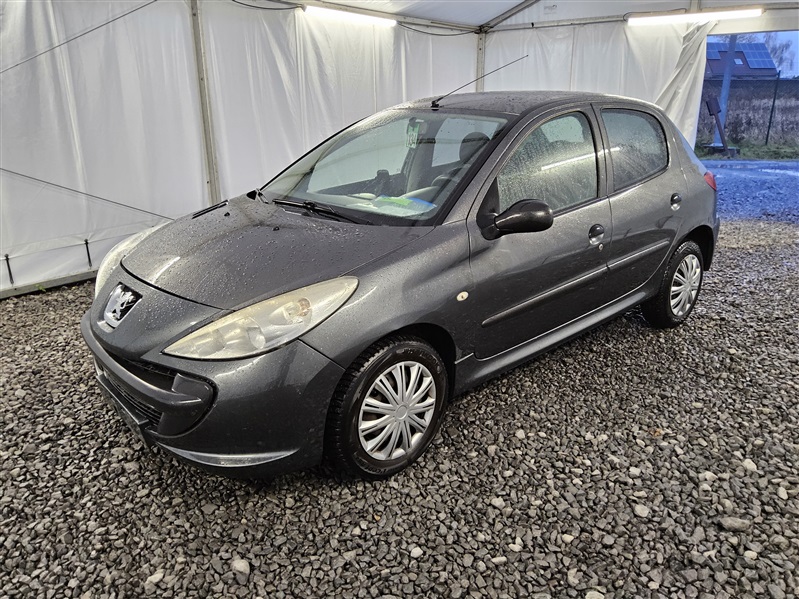 Peugeot 206 + 1.1 i Generation FAP N°134