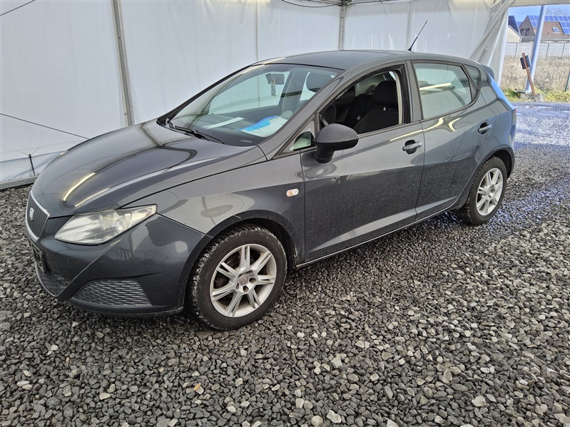 Seat Ibiza 1.4 TDi Ecomotive DPF N°254