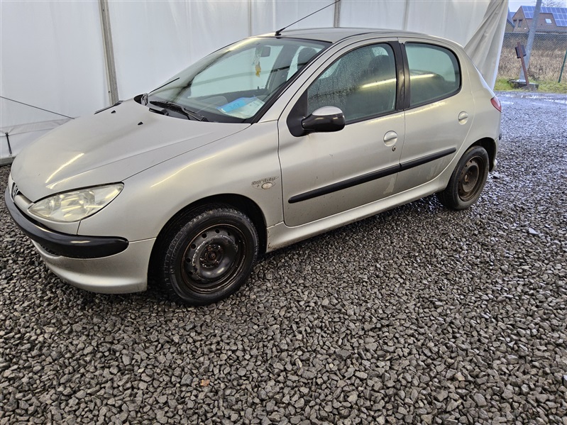 Peugeot 206 1.4i Enfant Terrible N°217