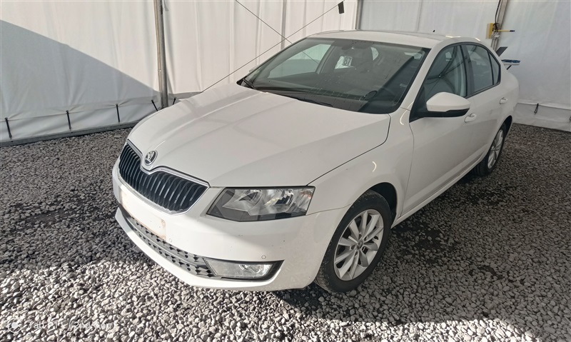 Skoda Octavia SW 1.6 CR TDi Ambition DSG //EXPERTISE N°87