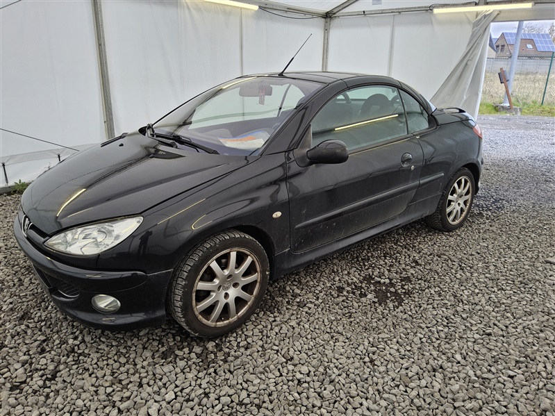 Peugeot 206 CC 1.6i 16v Roland Garros N°117