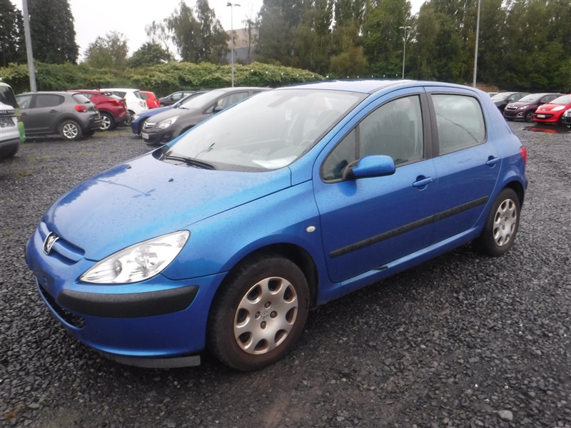 Peugeot 307 1.6i 16v Auto n°174