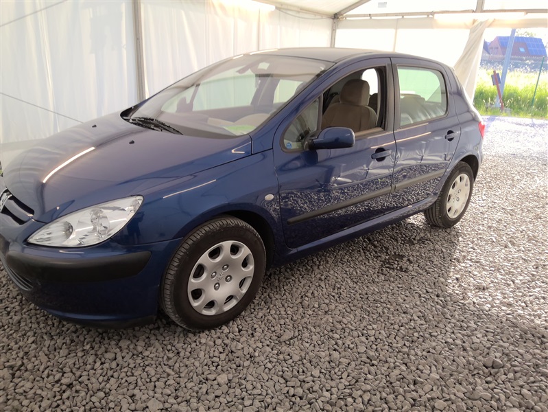 Peugeot 307 1.6i 16v XS N°154