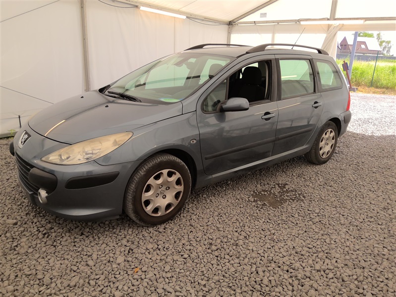 Peugeot 307 1.6 HDi Navteq FAP N°117