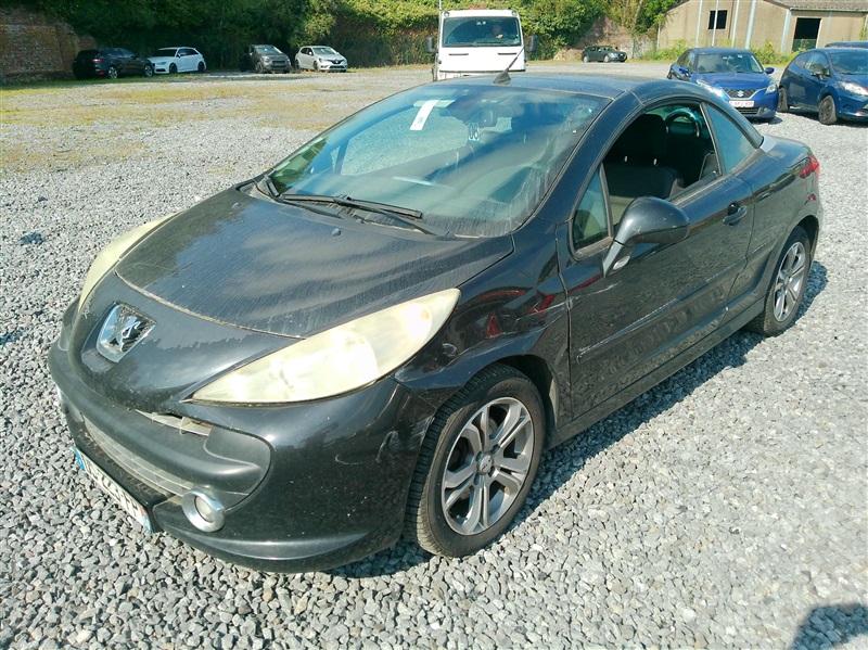 Peugeot 207 n°6