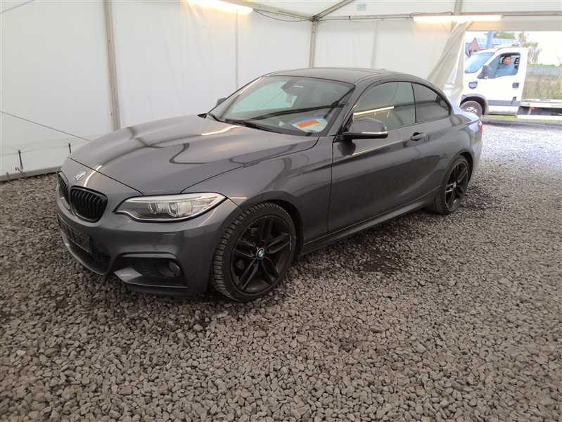 BMW 218 dA Coupe AdBlue N°292