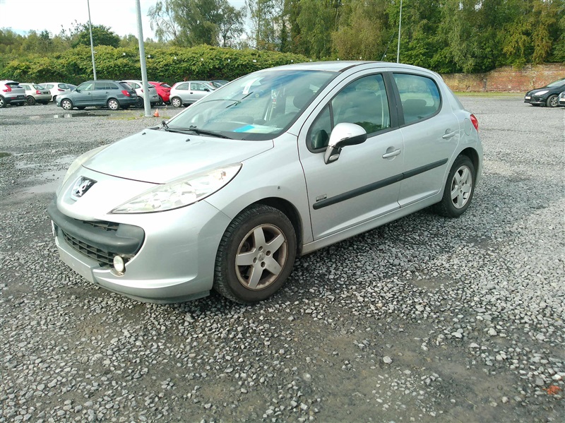 Peugeot 207 1.4i Sporty n°42